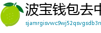 波宝钱包去中心化下载